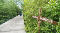 Ekowisata-Mangrove-929628091